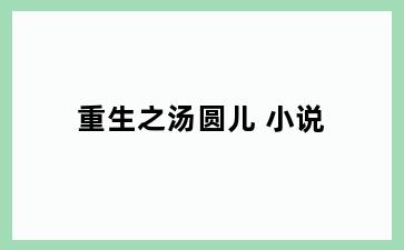 重生之汤圆儿 小说